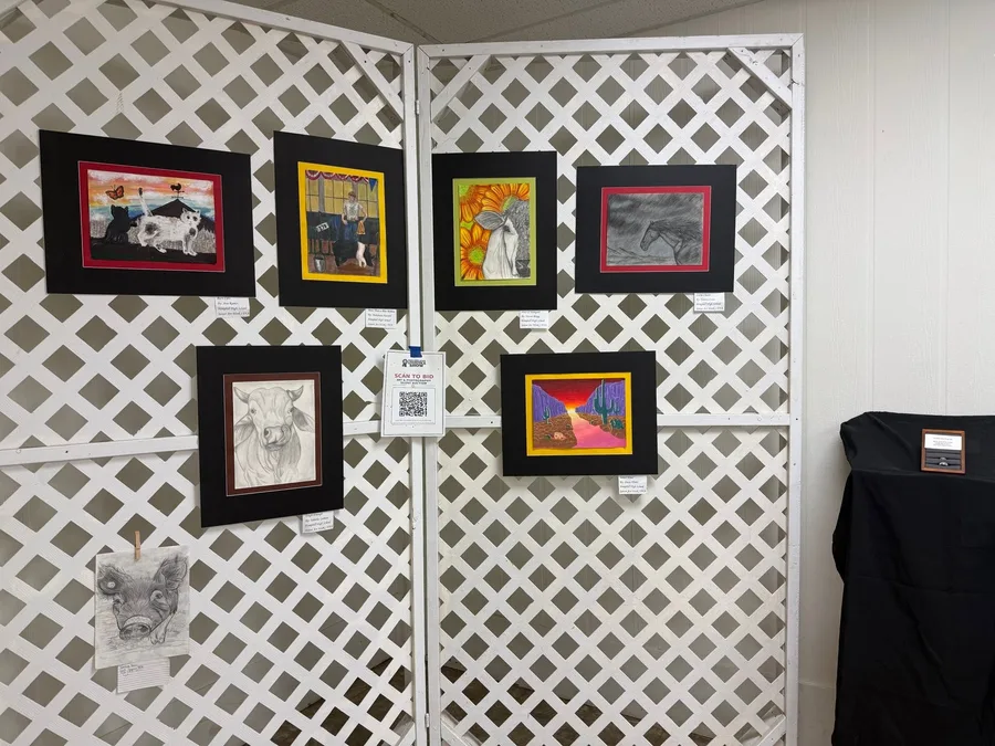 Framed student art and photography on display at the Show, with a scan-to-bid card