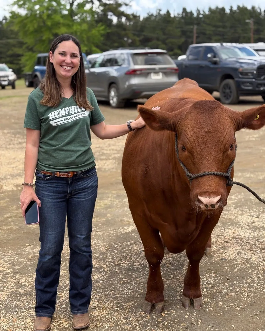 An exhibitor in a Hemphill shirt holding a cattle lead