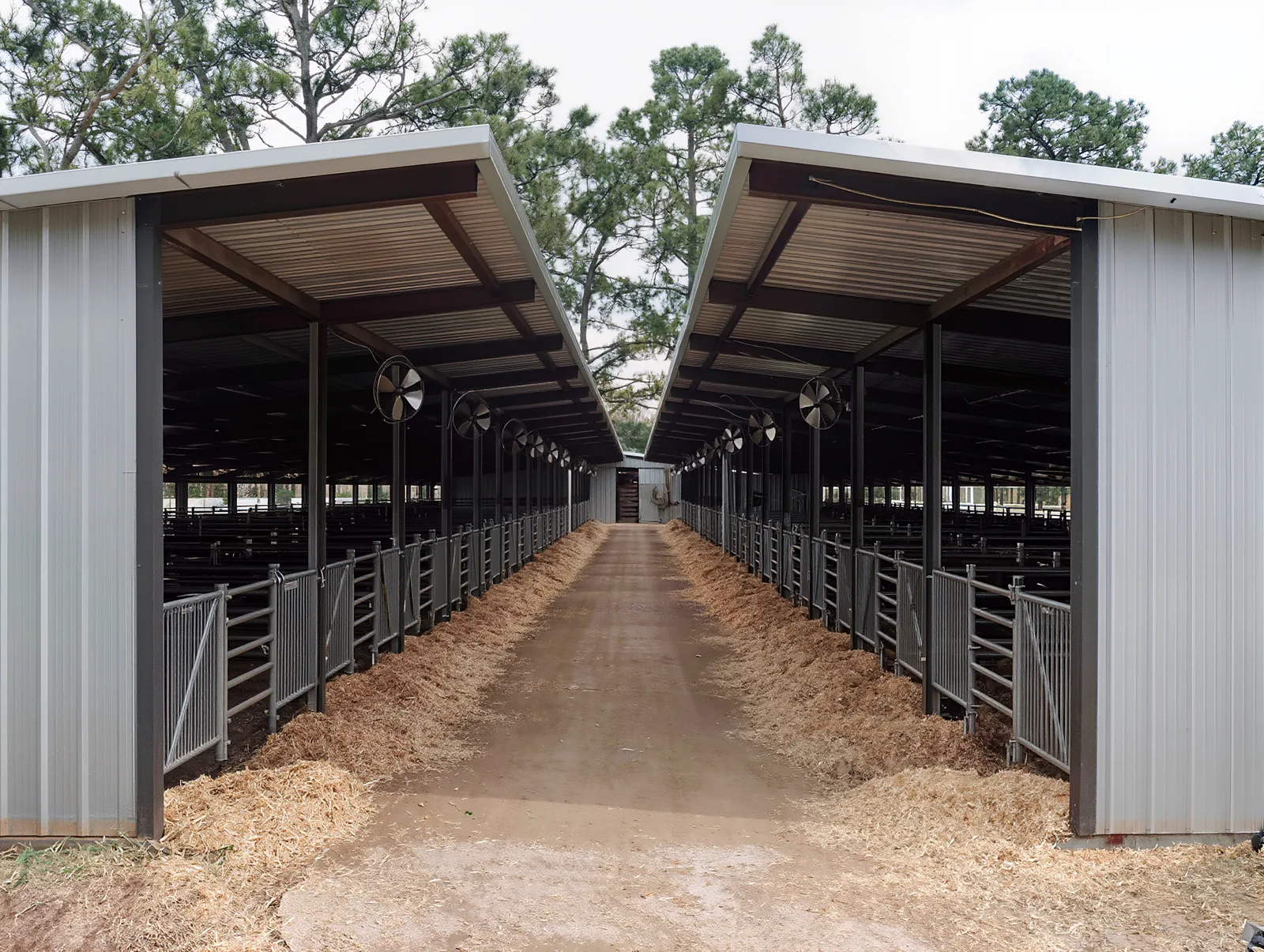 Reference example of the livestock show barns, a generated placeholder showing the photo we want, not the actual Sabine County Expo Center.