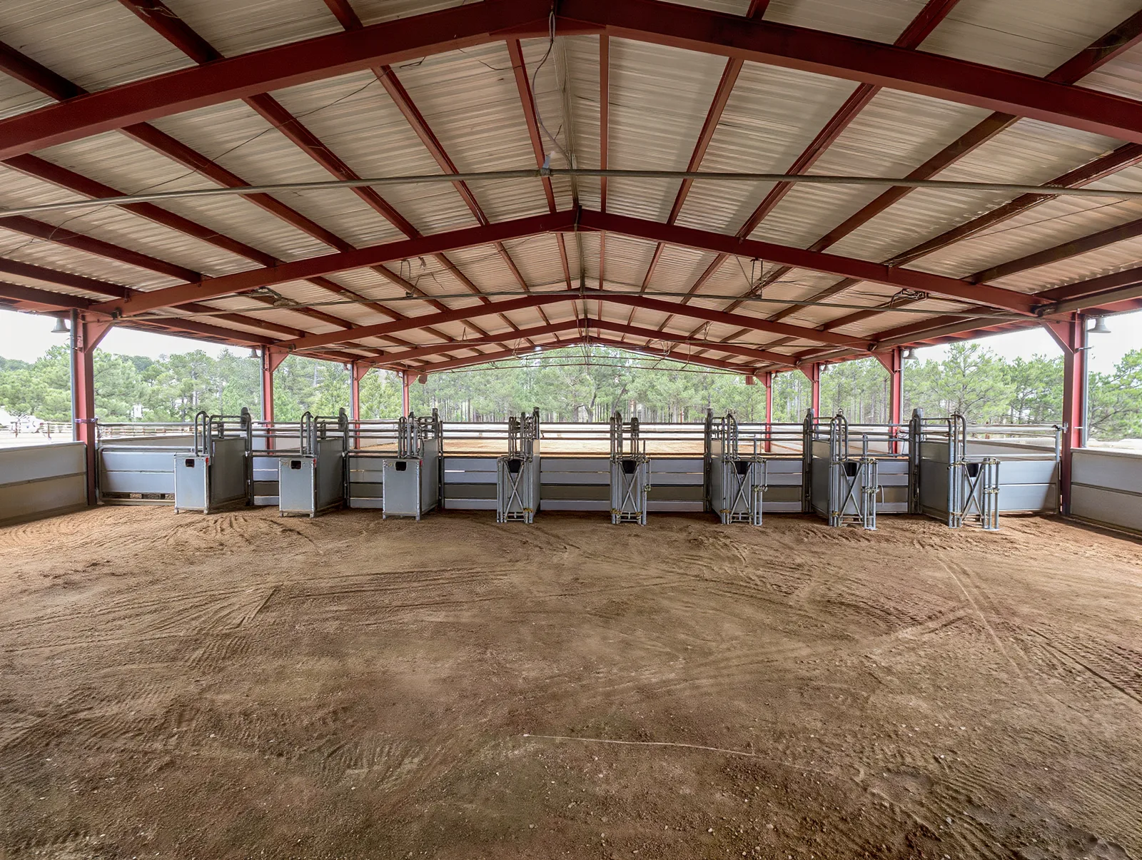 Reference example of the show arena chutes and roping boxes, a generated placeholder showing the photo we want, not the actual Sabine County Expo Center.